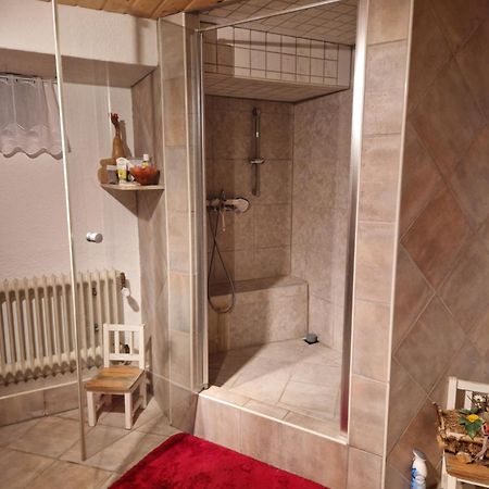 Grosses Gemuetliches Zimmer Mit Eigener Dusche Und Sauna Auf Wunsch Rheinstetten Buitenkant foto