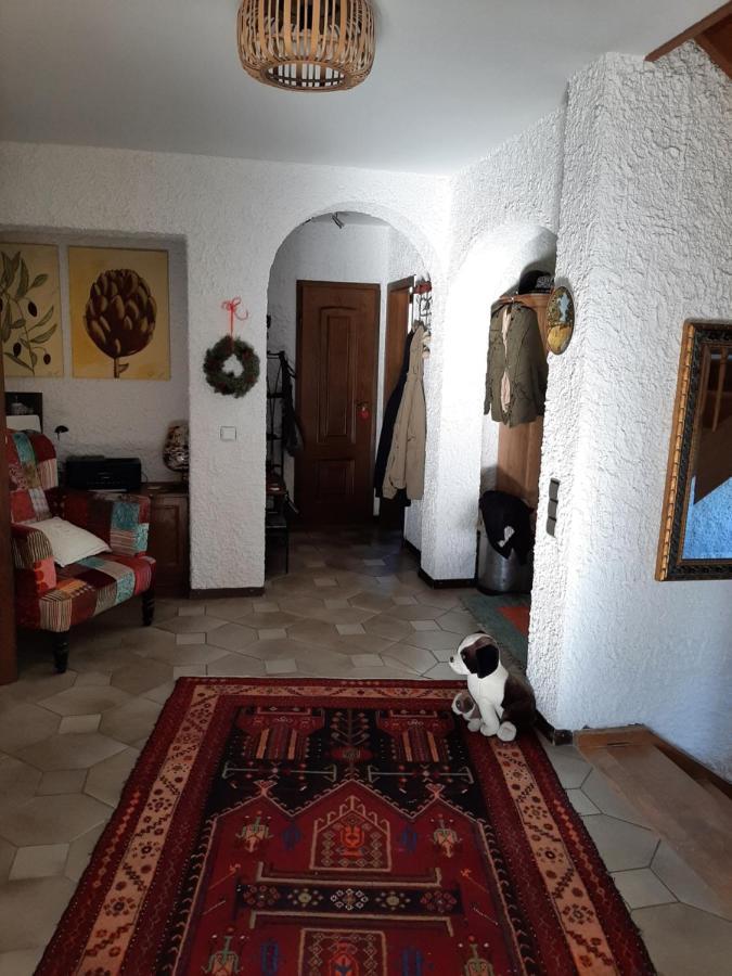 Grosses Gemuetliches Zimmer Mit Eigener Dusche Und Sauna Auf Wunsch Rheinstetten Buitenkant foto